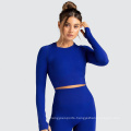 Fitness Yoga Outfit Seamless Spandex Crop Long Sleeve Yoga Set High Waist Casual Plain Sportswear With Thumbhole